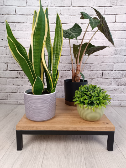 Stojak Na Kwiaty "PLANTO" Stojak Na Kwiaty "PLANTO"
